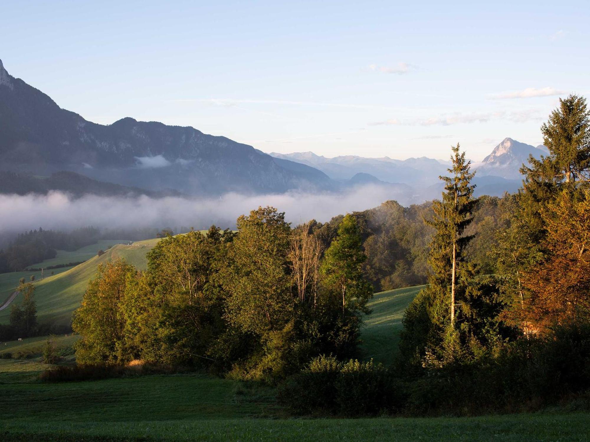 Unterwirt - Das Kleine Gourmethotel Эббс Экстерьер фото